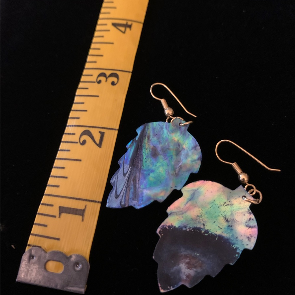 Abalone Shell Earrings - Picture 5 of 5